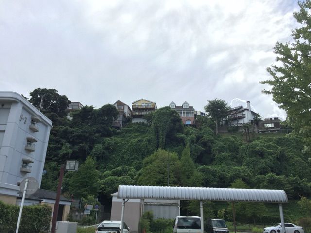 イメージ 7