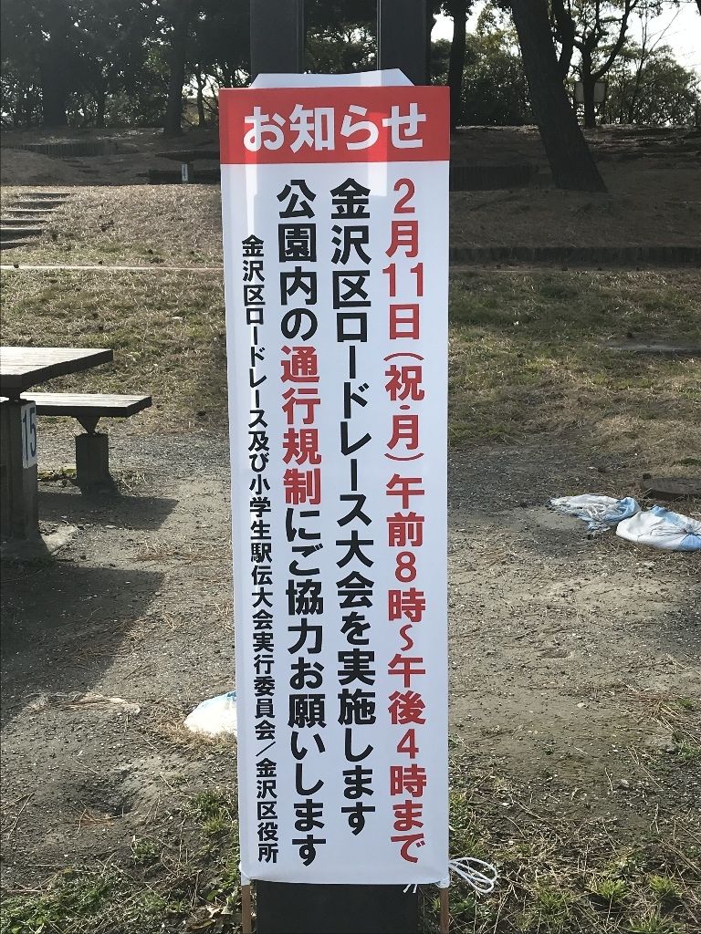 イメージ 13