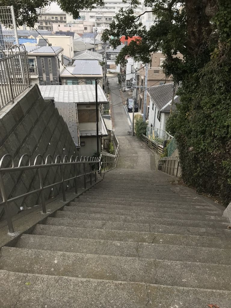 イメージ 17