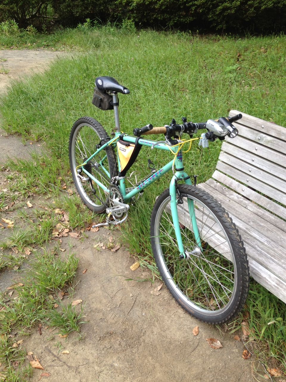 Bianchi 26HEの変遷 : 新:快速特急2020