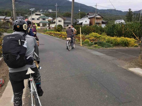 IMG_8264