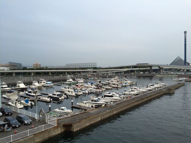 イメージ 19