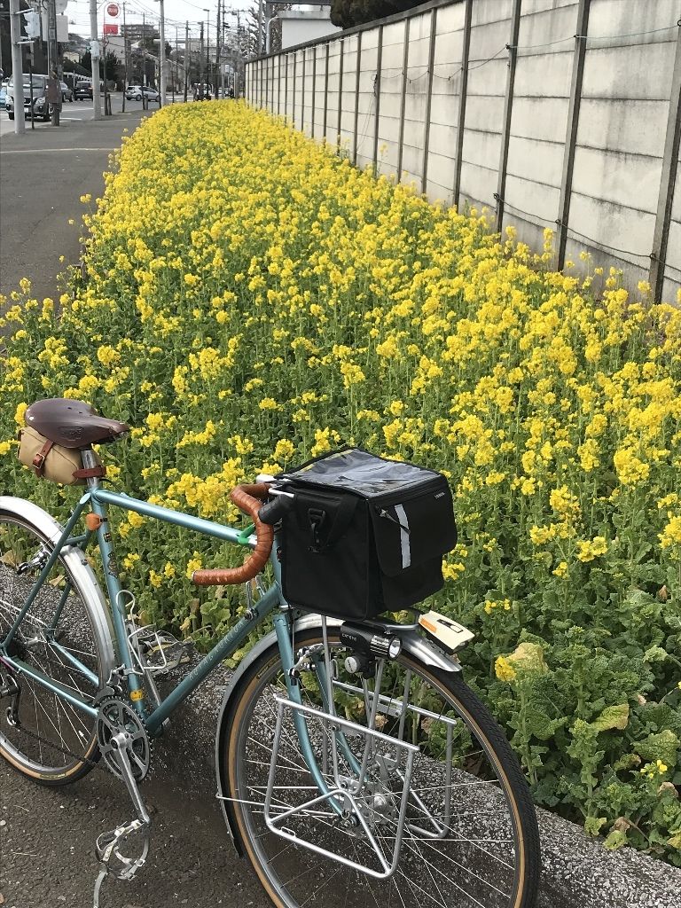 イメージ 8