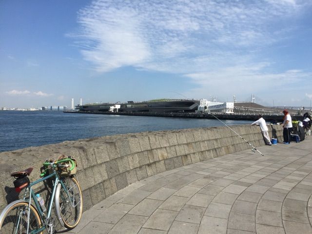イメージ 6