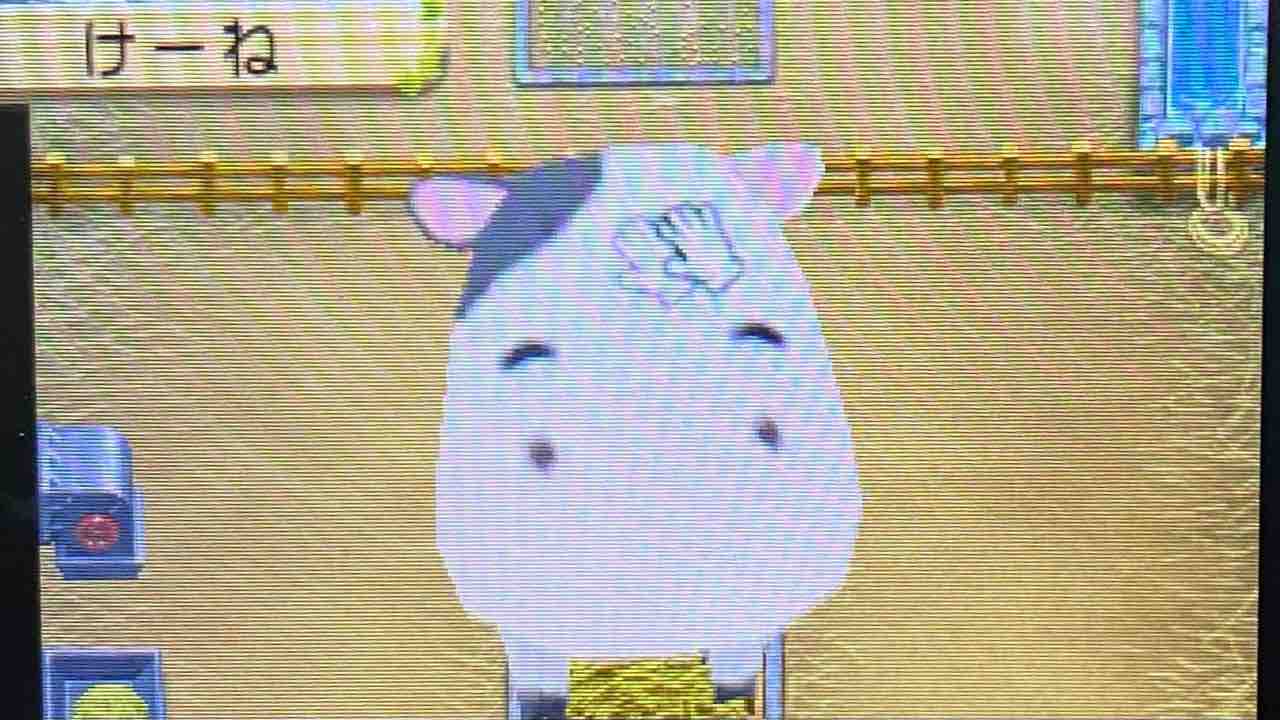 牧場物語 ふたごの村 プレイ日記 31 引っ越しの話 Motley Notes 牧場物語 ふたごの村 プレイ日記 31 引っ越しの話 Motley Notes