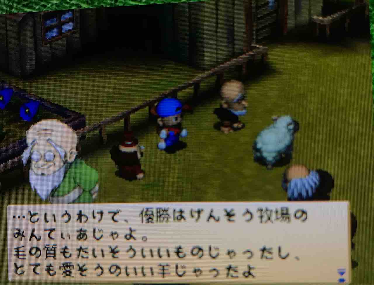 牧場物語ハーベストムーン プレイ日記 34 光陰矢の如し Motley Notes