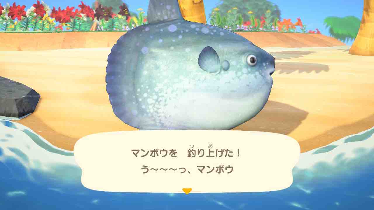 あつまれ どうぶつの森 プレイ日記 74 夏真っ盛り Motley Notes
