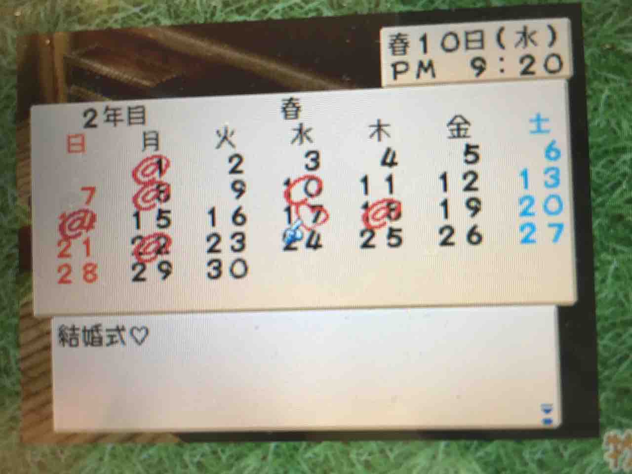 牧場物語ハーベストムーン プレイ日記 21 憧れの結婚生活 Motley Notes 牧場物語ハーベストムーン プレイ日記 21 憧れの結婚生活 Motley Notes