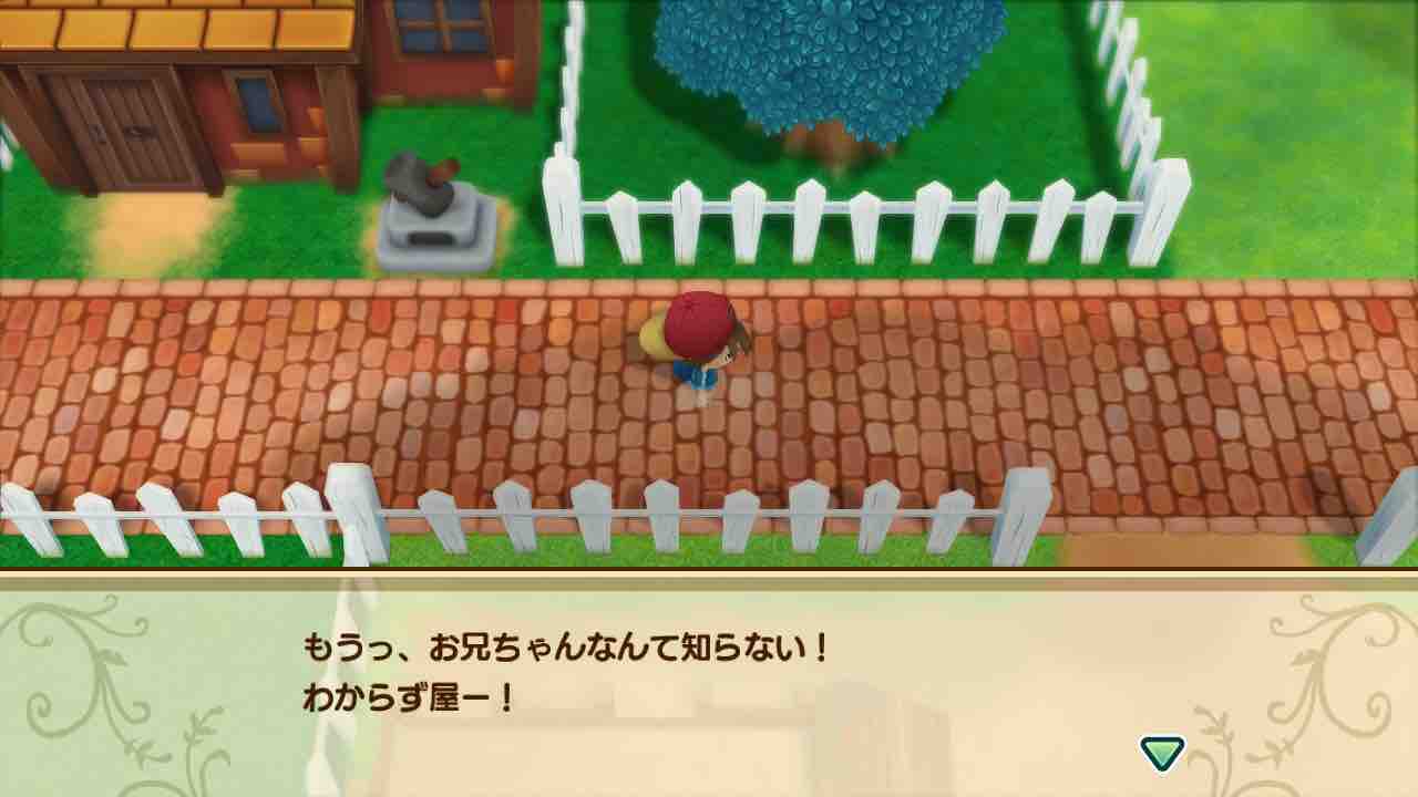 牧場物語 再会のミネラルタウン プレイ日記 108 ポプリと花摘み Motley Notes