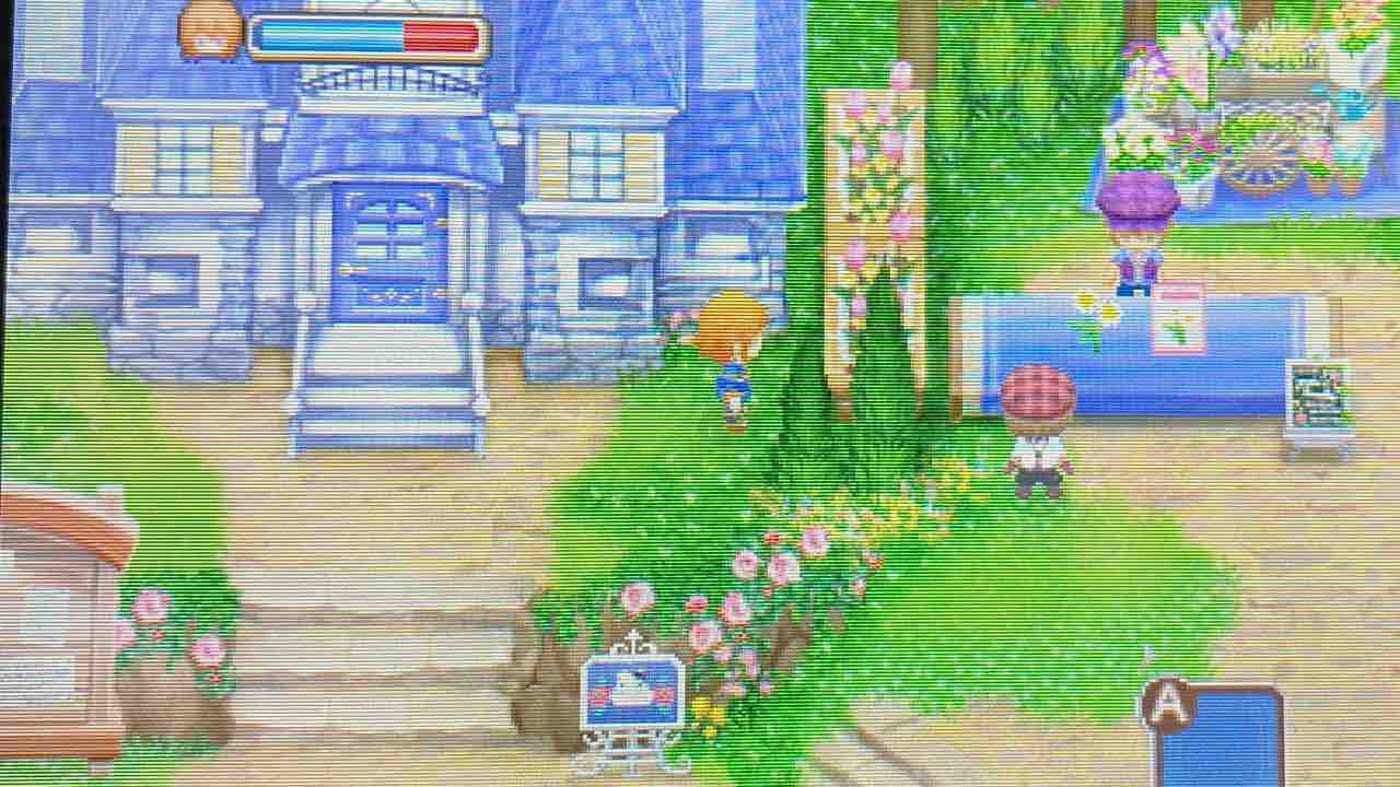 牧場物語 ふたごの村 プレイ日記 24 山奥の遺跡 Motley Notes 牧場物語 ふたごの村 プレイ日記 24 山奥の遺跡 Motley Notes