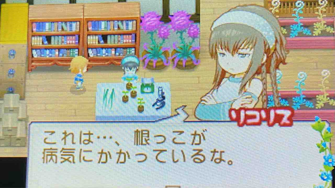 牧場物語 ふたごの村 プレイ日記 57 植物はいいぞ Motley Notes 牧場物語 ふたごの村 プレイ日記 57 植物はいいぞ Motley Notes