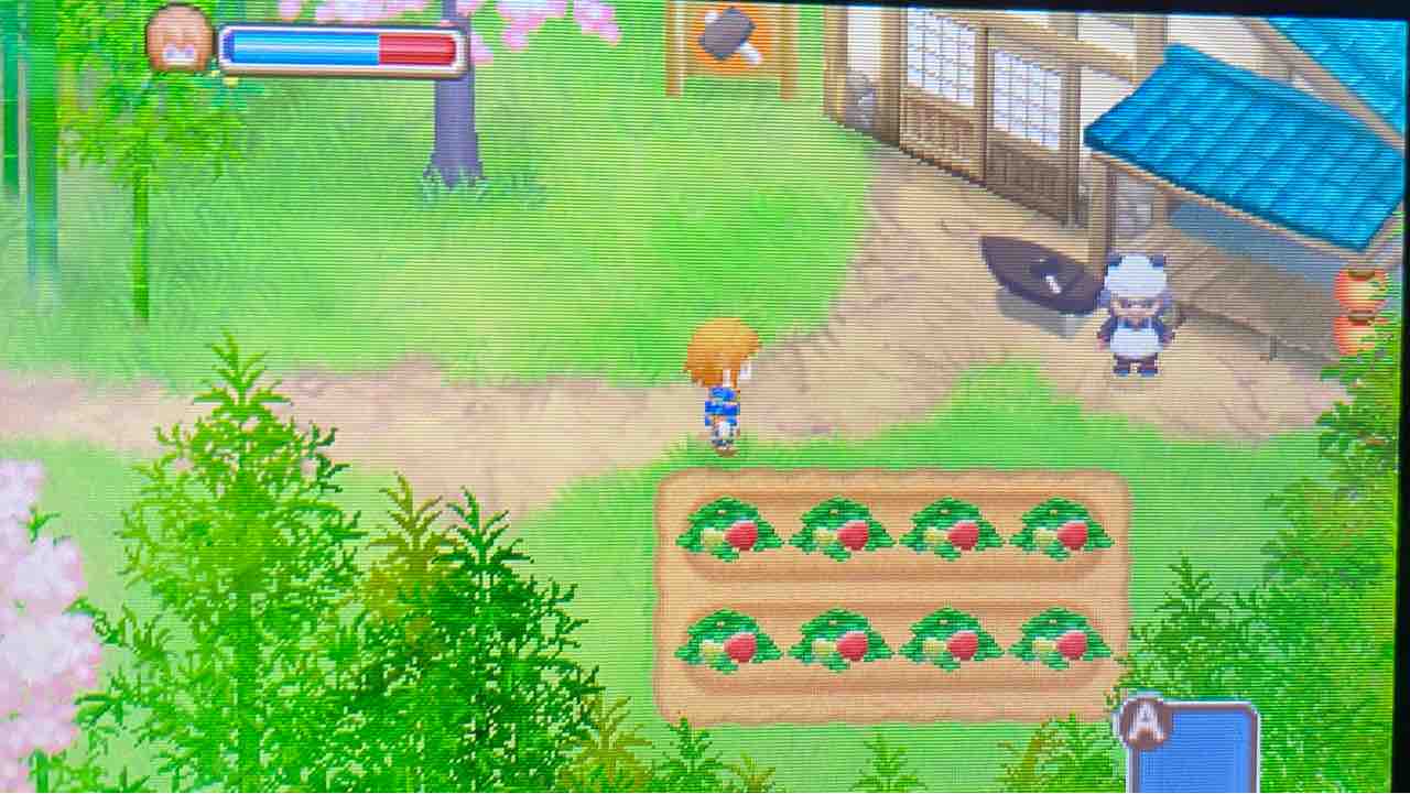 牧場物語 ふたごの村 プレイ日記 24 〜山奥の遺跡 motley