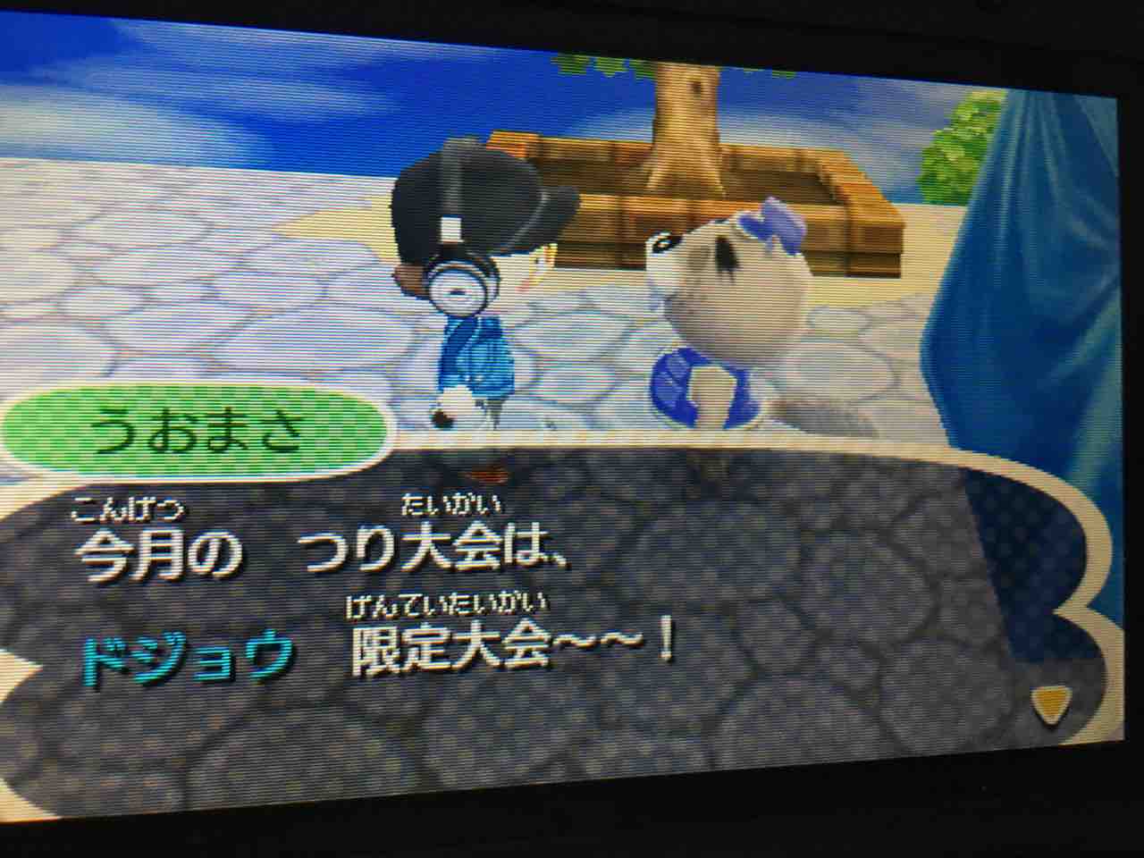 とびだせどうぶつの森 プレイ日記 5 新装開店夢見の館 Motley Notes とびだせどうぶつの森 プレイ日記 5 新装開店夢見の館 Motley Notes