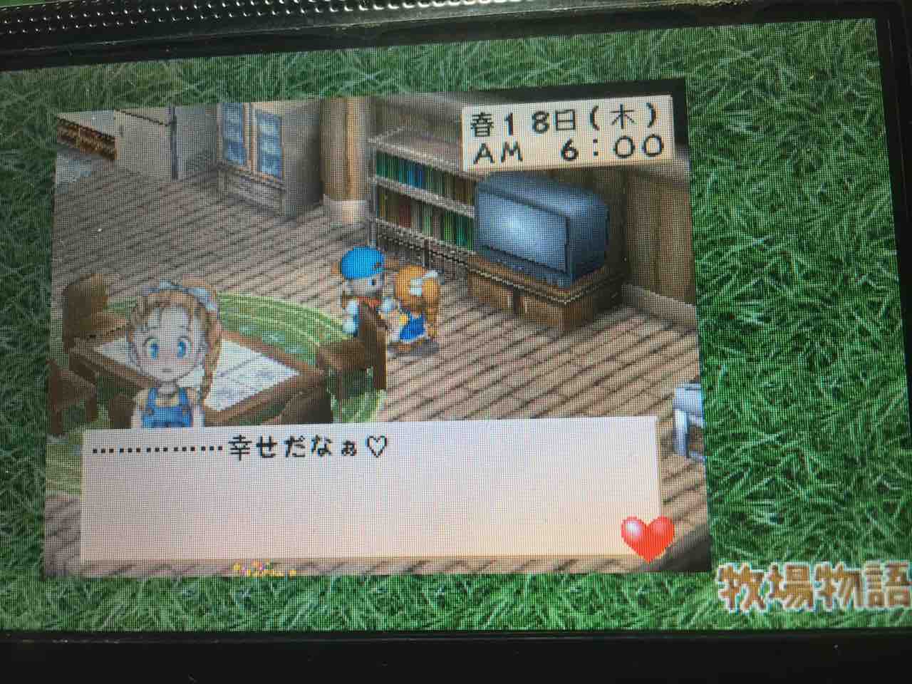 牧場物語ハーベストムーン プレイ日記 21 憧れの結婚生活 Motley Notes 牧場物語ハーベストムーン プレイ日記 21 憧れの結婚生活 Motley Notes