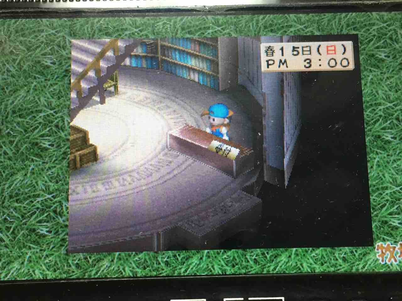 牧場物語ハーベストムーン プレイ日記 5 コロボックルと草競馬 Motley Notes 牧場物語ハーベストムーン プレイ日記 5 コロボックルと草競馬 Motley Notes
