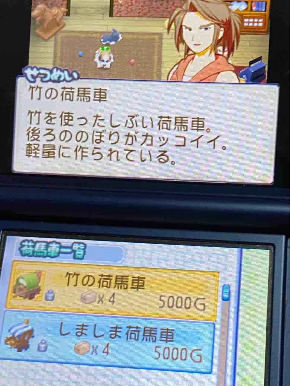 牧場物語 ふたごの村 プレイ日記 31 引っ越しの話 Motley Notes 牧場物語 ふたごの村 プレイ日記 31 引っ越しの話 Motley Notes