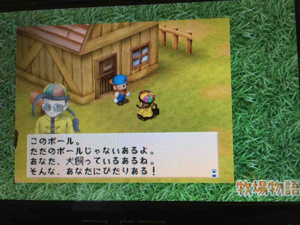 牧場物語ハーベストムーン プレイ日記 12 秋の収穫祭 前日譚 Motley Notes