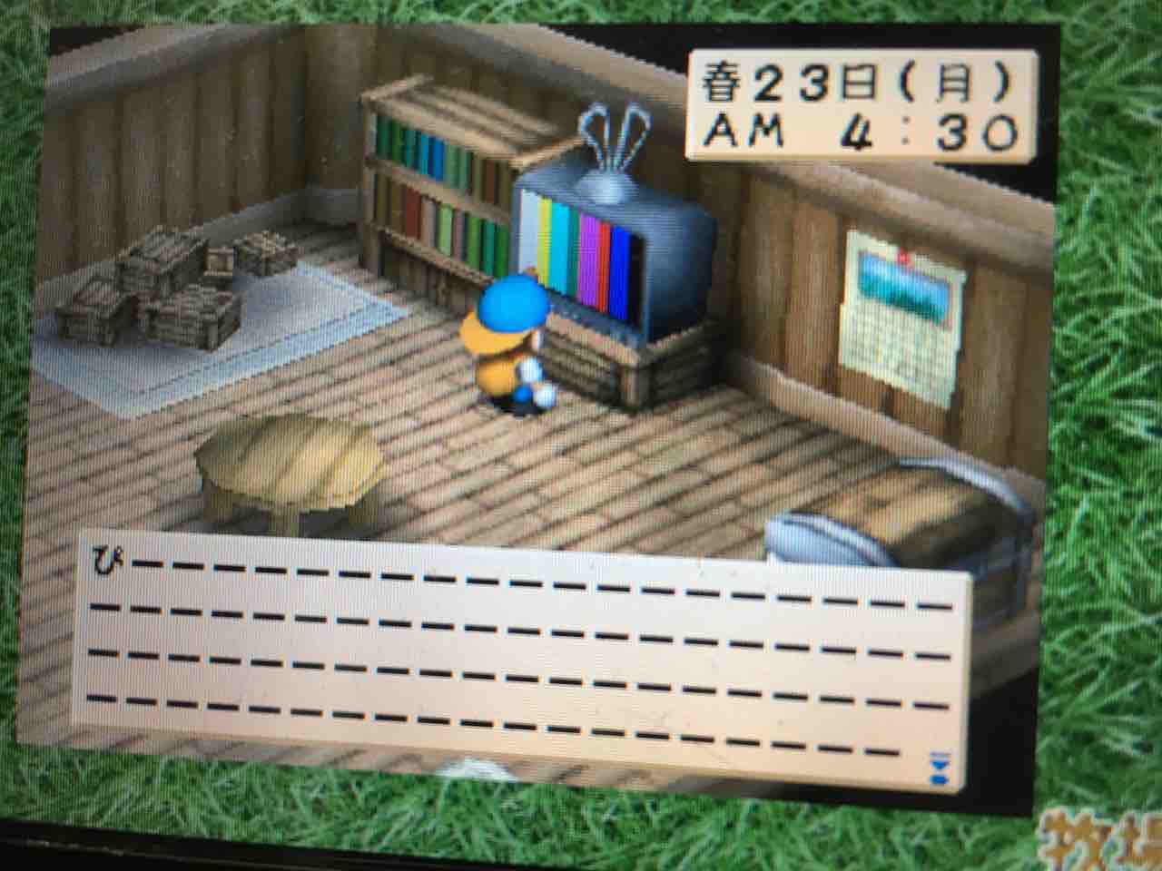 牧場物語ハーベストムーン プレイ日記 7 春が終わりを告げる Motley Notes