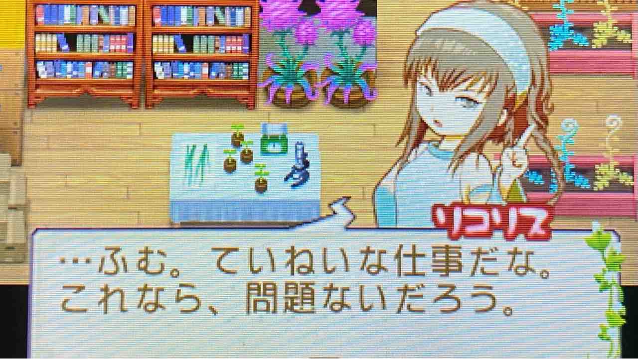 牧場物語 ふたごの村 プレイ日記 22 ふたつの村を駆け巡る Motley Notes