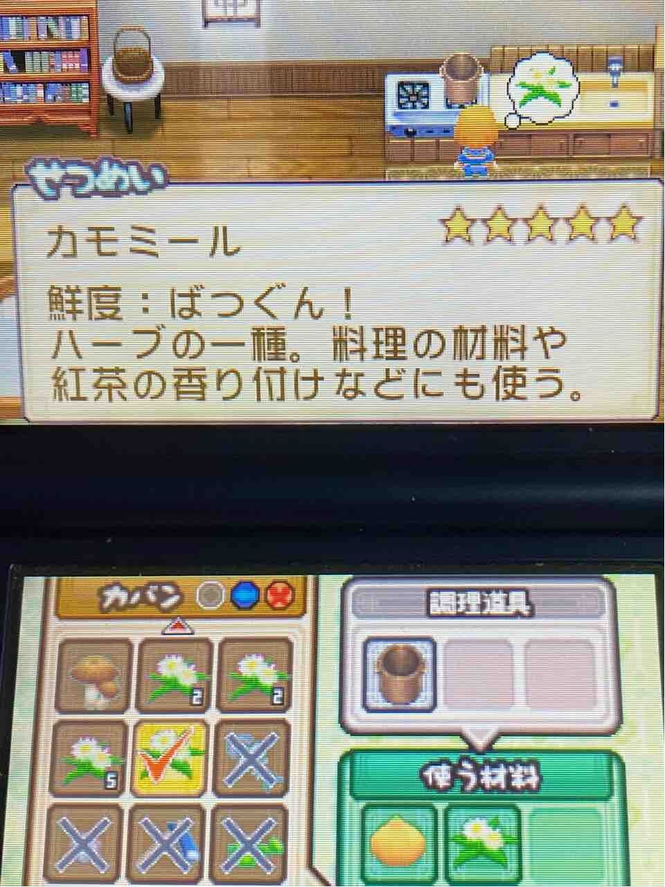 牧場物語 ふたごの村 プレイ日記 16 ハーブスープに苦戦 Motley Notes 牧場物語 ふたごの村 プレイ日記 16 ハーブスープに苦戦 Motley Notes