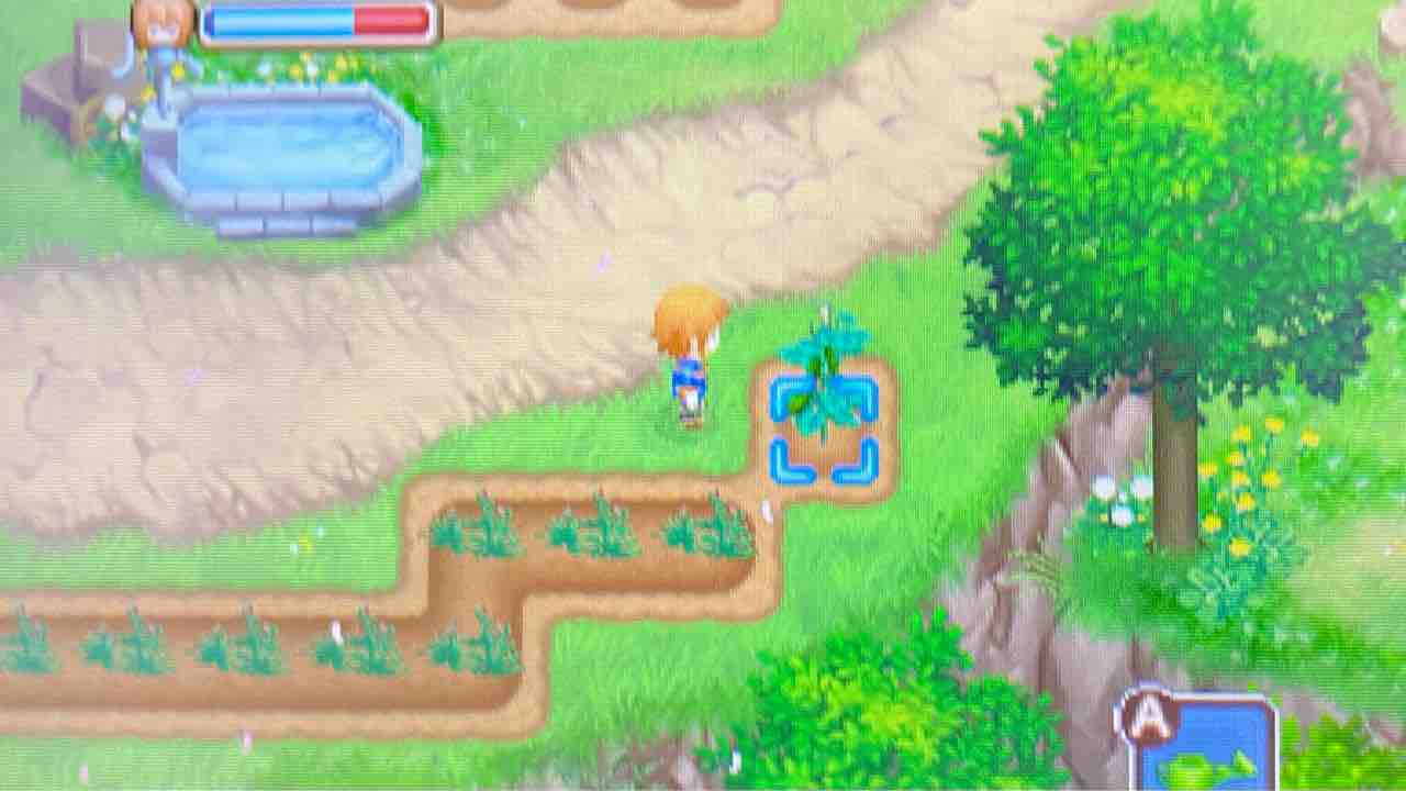 牧場物語 ふたごの村 プレイ日記 29 女神の泉のその先には Motley Notes 牧場物語 ふたごの村 プレイ日記 29 女神の泉のその先には Motley Notes