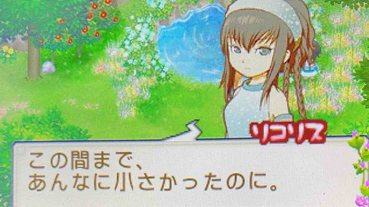 牧場物語 ふたごの村 プレイ日記 42 研究者リコリス Motley Notes