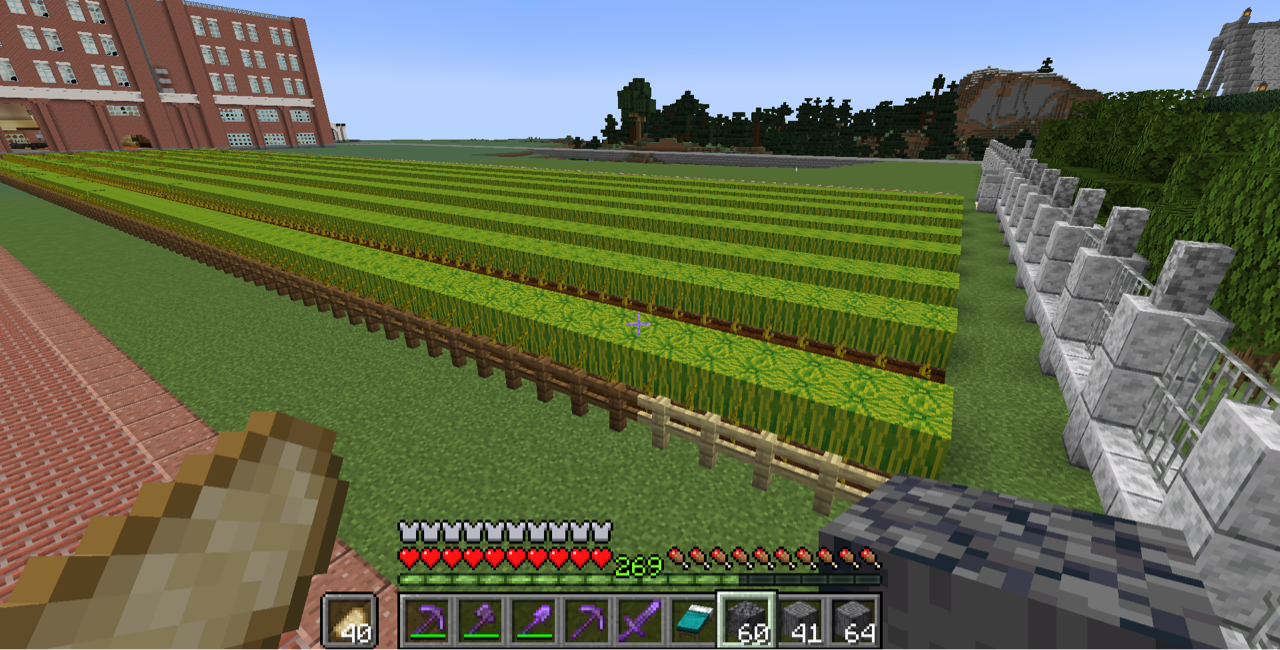 Minecraft プレイ日記 22 スイカ畑を移設する Motley Notes