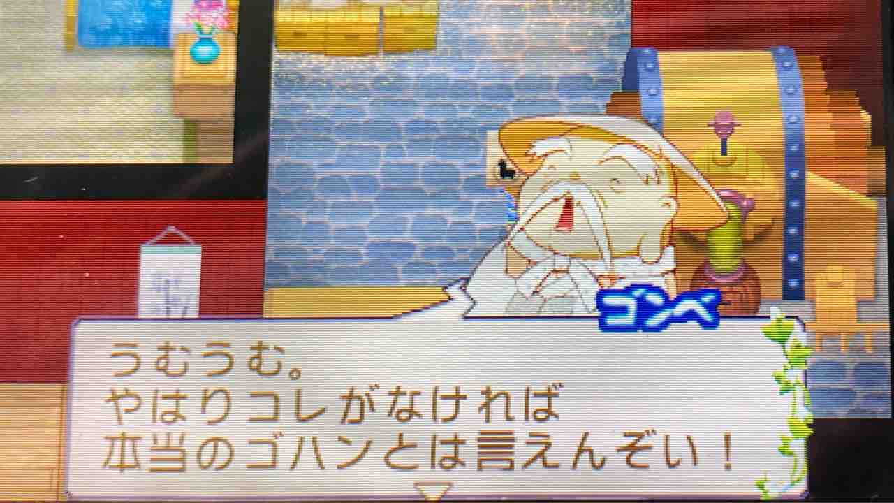 牧場物語 ふたごの村 プレイ日記 32 マオの両親 Motley Notes 牧場物語 ふたごの村 プレイ日記 32 マオの両親 Motley Notes