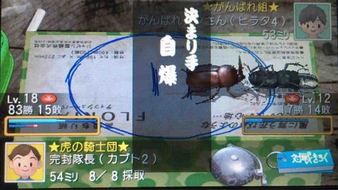 ぼくのなつやすみ4 プレイ日記 25 虫相撲団体戦 開戦 Motley Notes