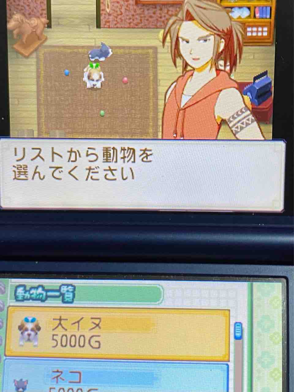 牧場物語 ふたごの村 プレイ日記 31 引っ越しの話 Motley Notes 牧場物語 ふたごの村 プレイ日記 31 引っ越しの話 Motley Notes