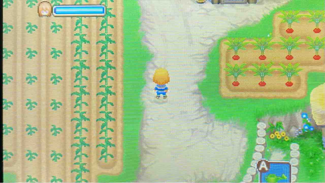 牧場物語 ふたごの村 プレイ日記 58 〜真夏の日照 motley