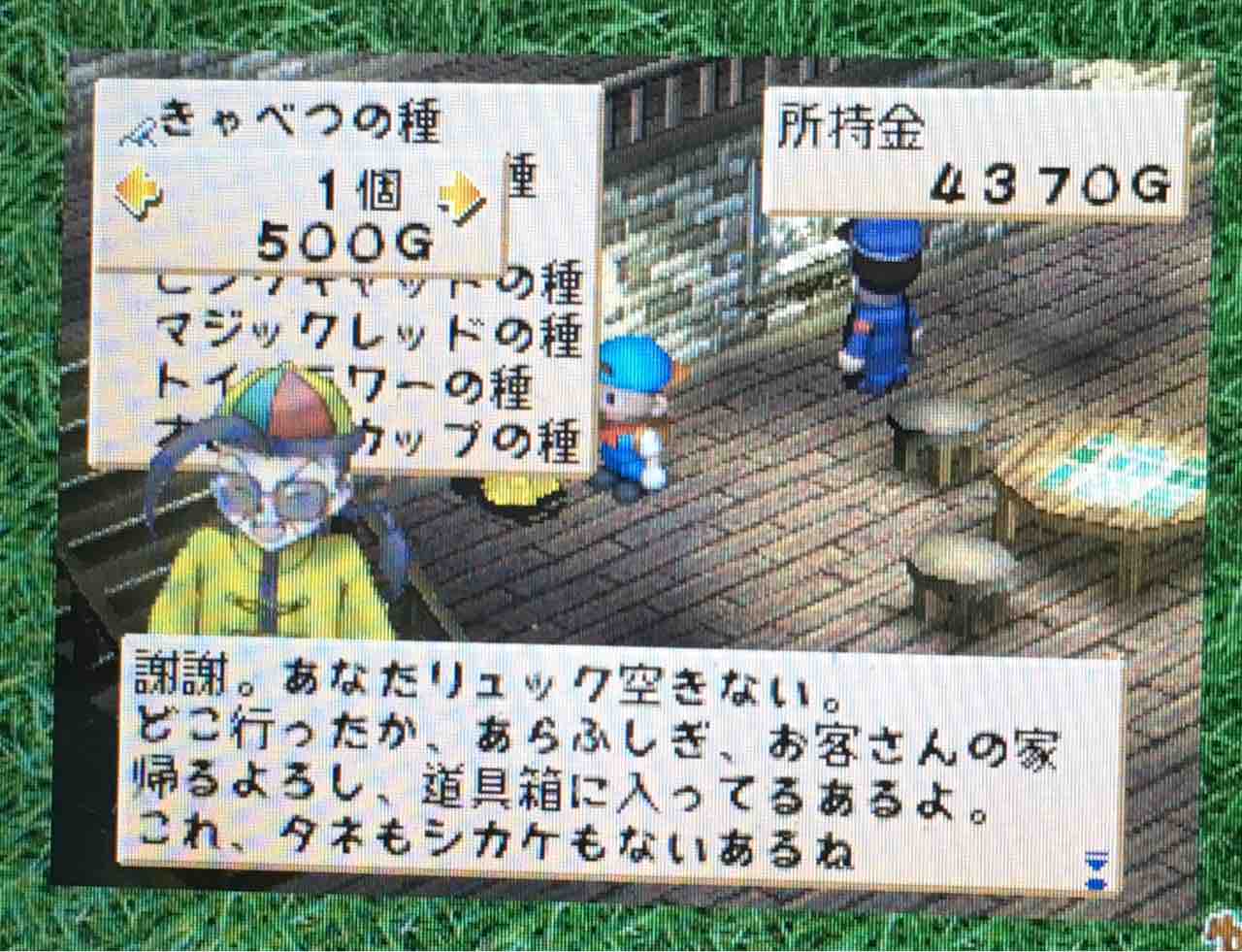 牧場物語ハーベストムーン プレイ日記 3 悲しみの女神祭 Motley Notes 牧場物語ハーベストムーン プレイ日記 3 悲しみの女神祭 Motley Notes