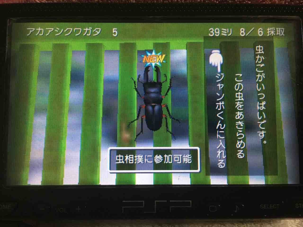 ぼくのなつやすみ4 プレイ日記 6 さわやか先輩大活躍 Motley Notes ぼくのなつやすみ4 プレイ日記 6 さわやか先輩大活躍 Motley Notes