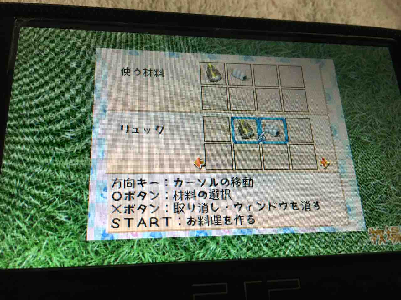 牧場物語ハーベストムーン プレイ日記 7 春が終わりを告げる Motley Notes 牧場物語ハーベストムーン プレイ日記 7 春が終わりを告げる Motley Notes
