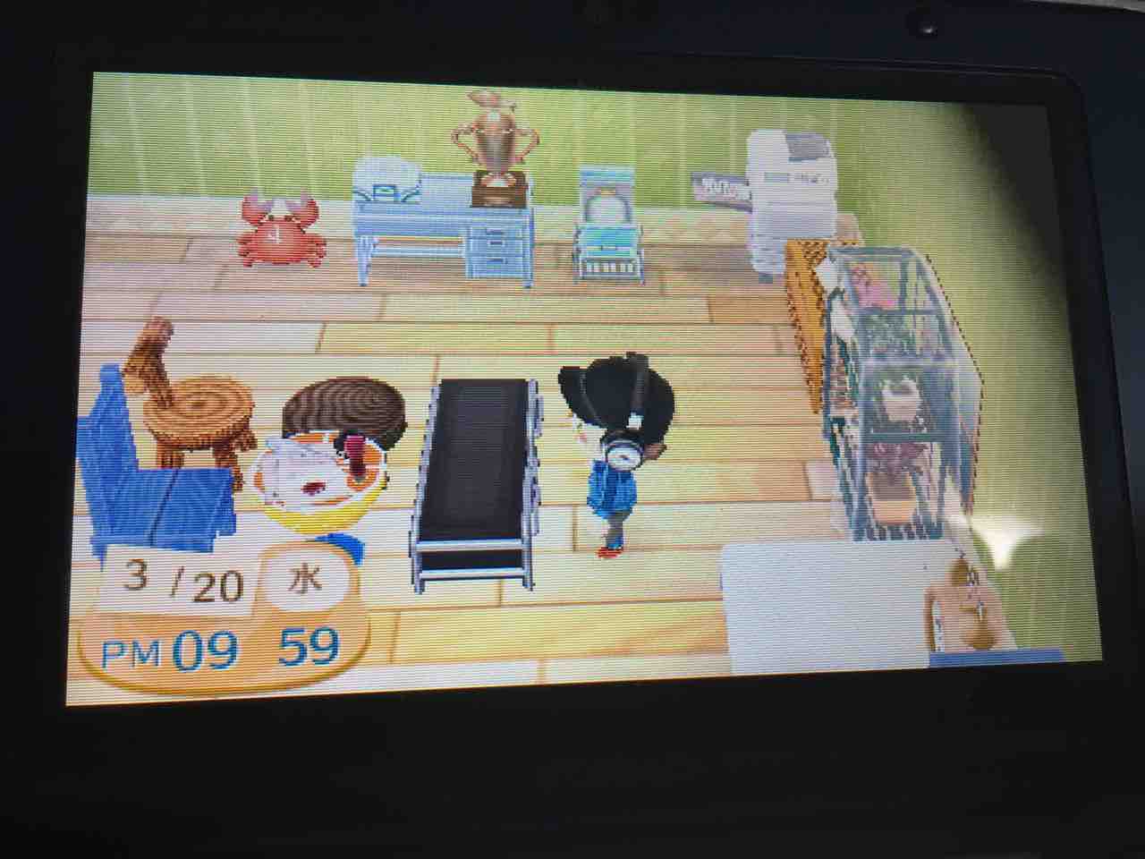 とびだせどうぶつの森 プレイ日記 5 新装開店夢見の館 Motley Notes とびだせどうぶつの森 プレイ日記 5 新装開店夢見の館 Motley Notes