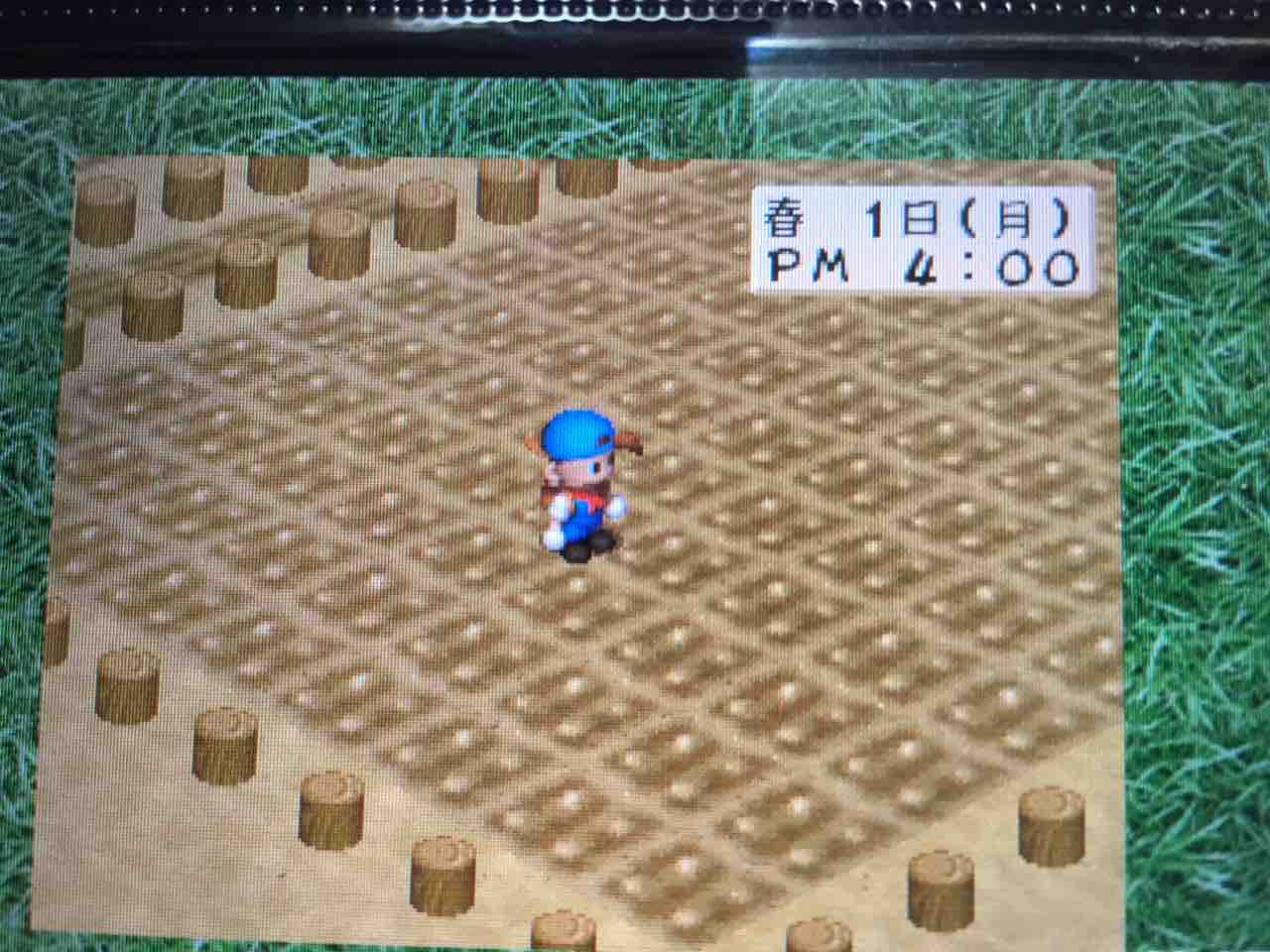 牧場物語ハーベストムーン プレイ日記 19 新年と怒涛の年賀状ラッシュ Motley Notes
