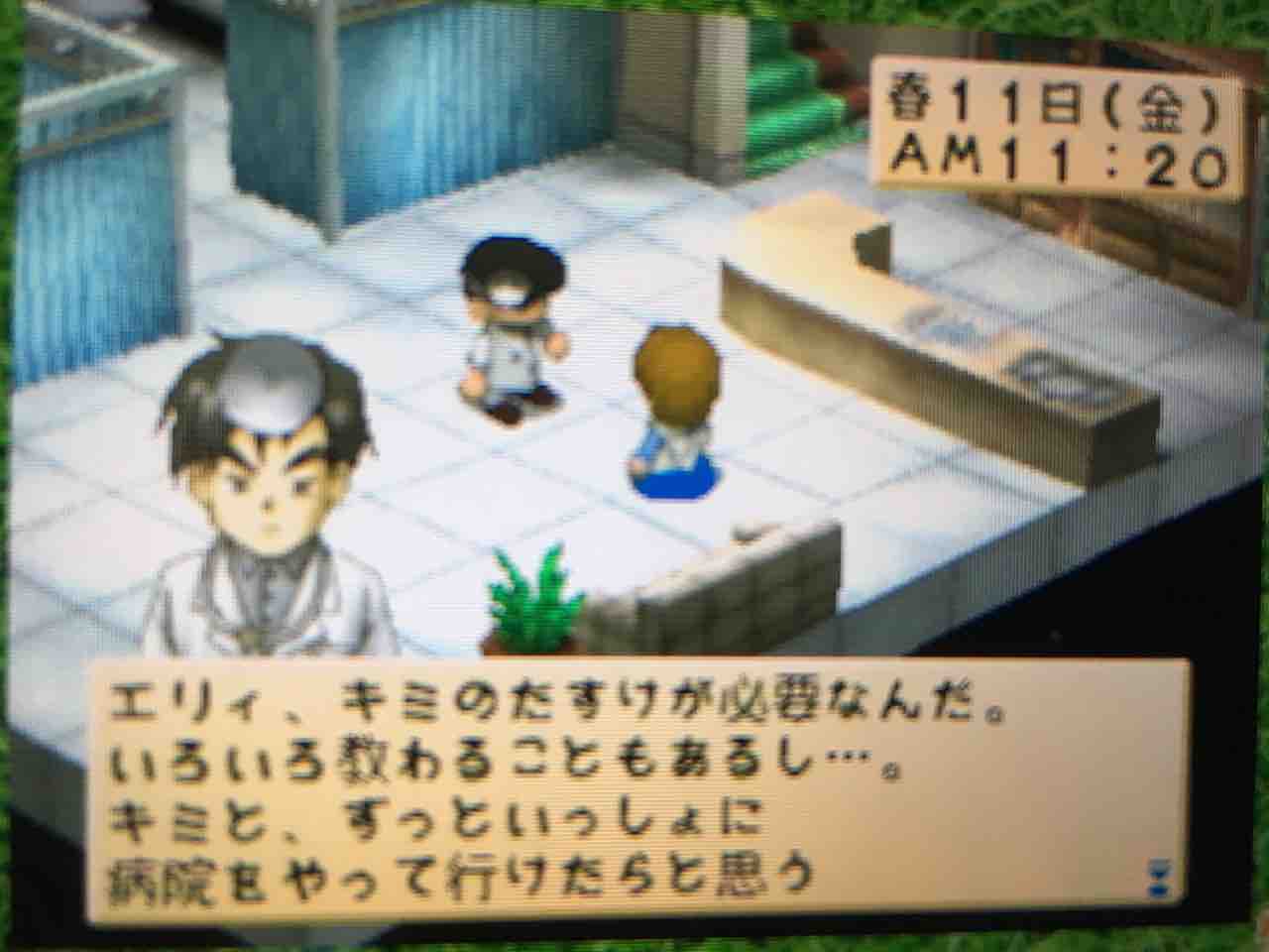 牧場物語ハーベストムーン プレイ日記 31 春の陽気にあてられて Motley Notes