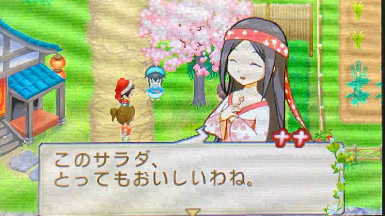 牧場物語 ふたごの村 プレイ日記 11 花見で一杯 Motley Notes