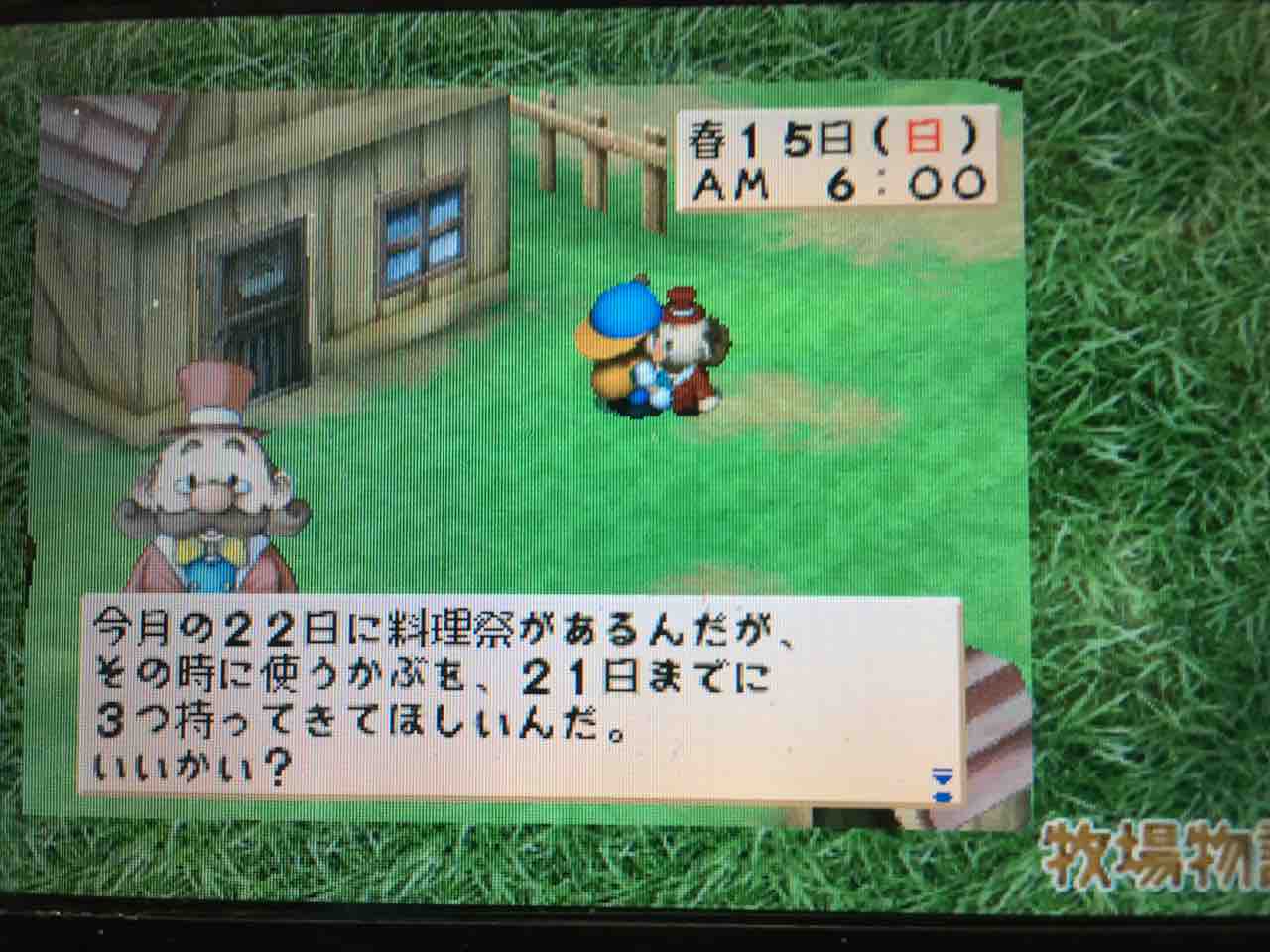 牧場物語ハーベストムーン プレイ日記 5 コロボックルと草競馬 Motley Notes 牧場物語ハーベストムーン プレイ日記 5 コロボックルと草競馬 Motley Notes