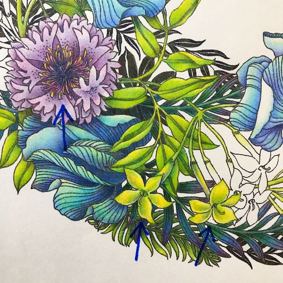 027 スイートピーのリース 完成 世界一美しい花の塗り絵book 塗り絵と色鉛筆