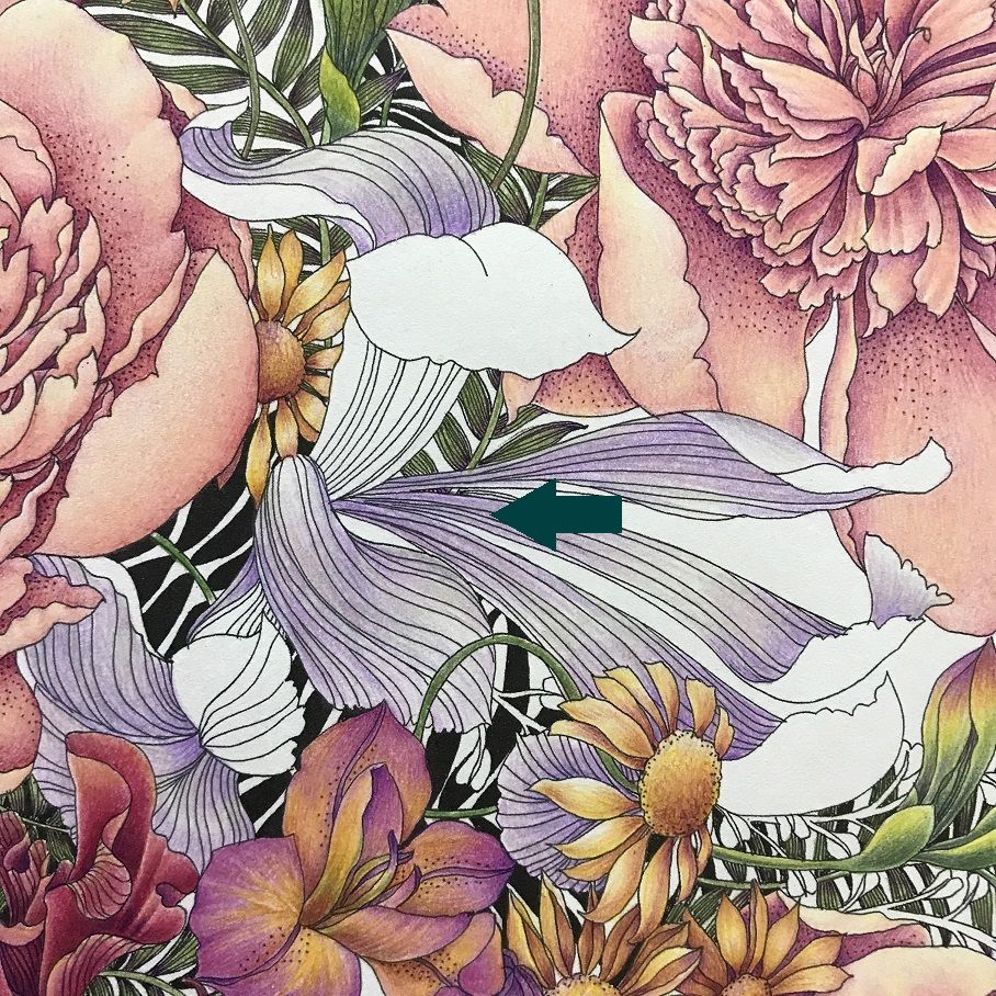017 花5種 完成 世界一美しい花のぬり絵book 塗り絵と色鉛筆