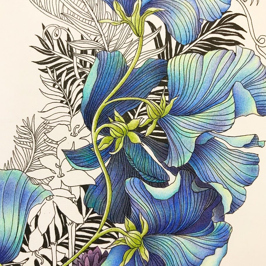 色鉛筆画 美人画 『花の精』 A4 絵画 - 絵画