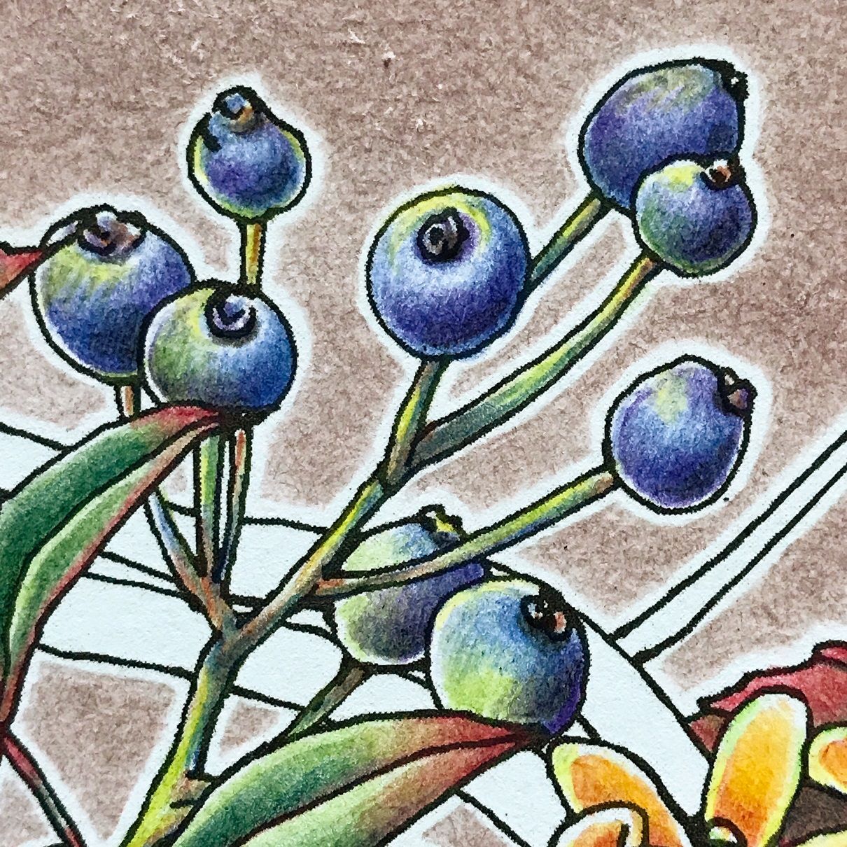 木の実と子鹿 森が奏でるラプソディー 塗り絵と色鉛筆