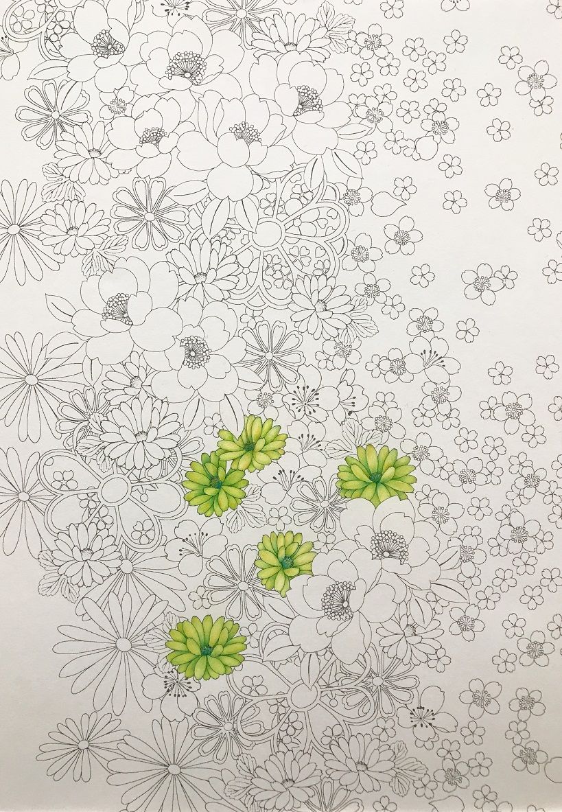 花模様の和柄 緑 和柄3枚目 塗り絵と色鉛筆