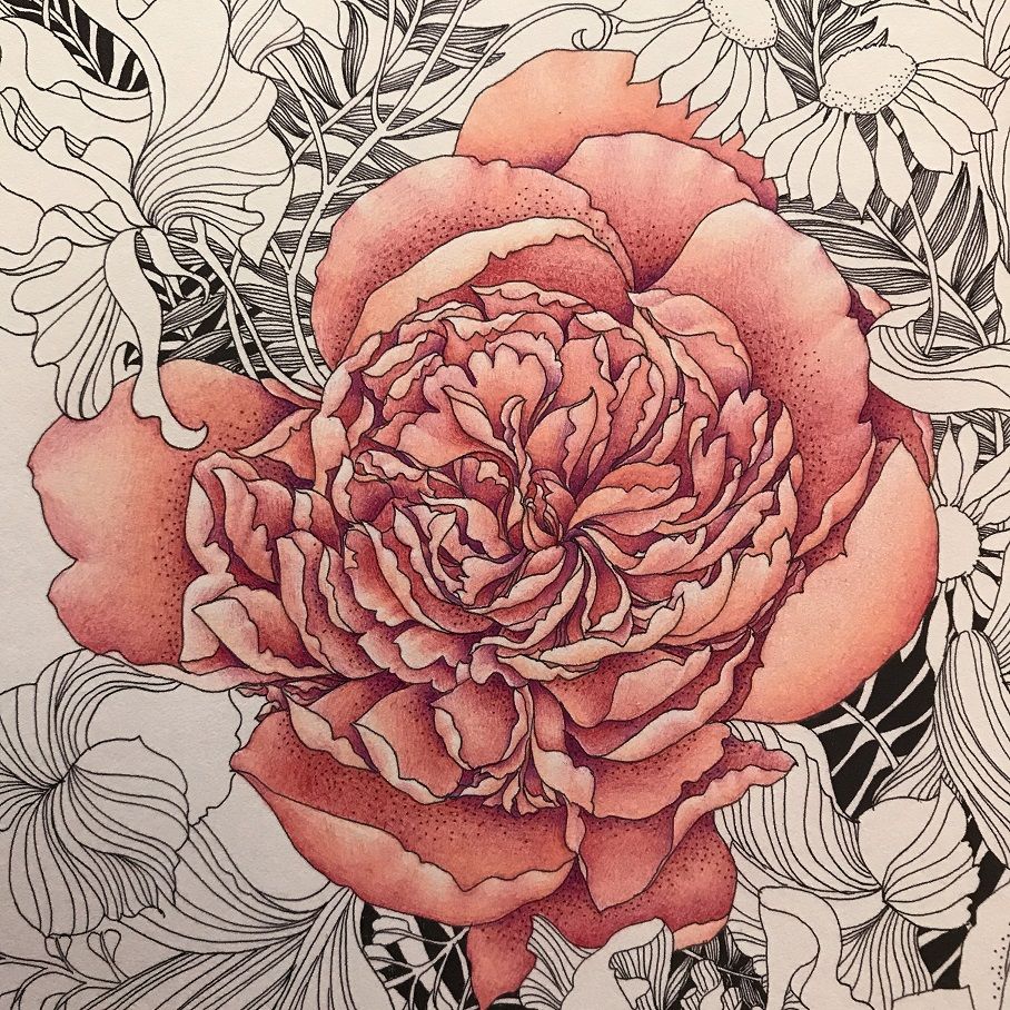 017 花5種 世界一美しい花のぬり絵book 塗り絵と色鉛筆
