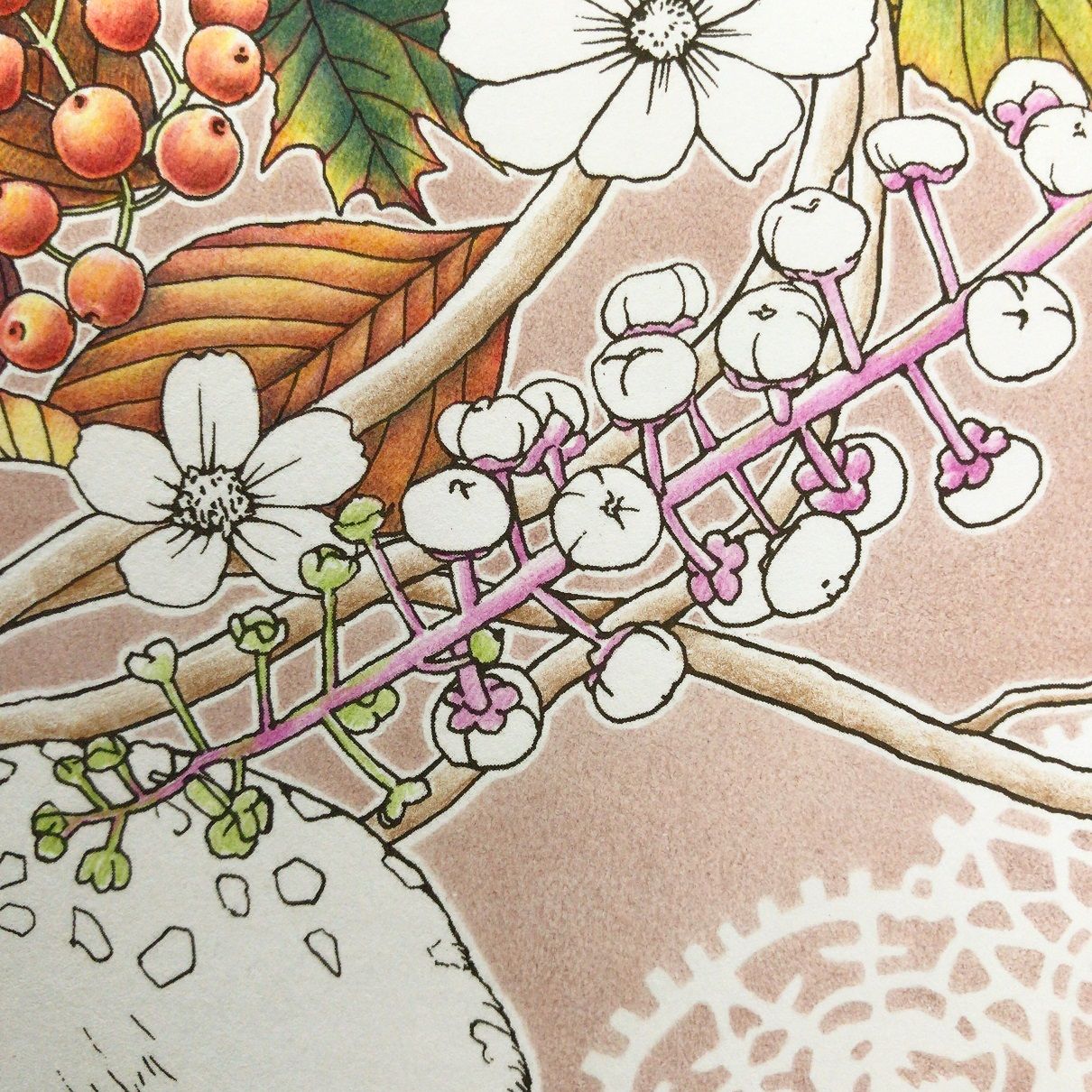 色鉛筆画　森のメロディー hqdefault.jpg