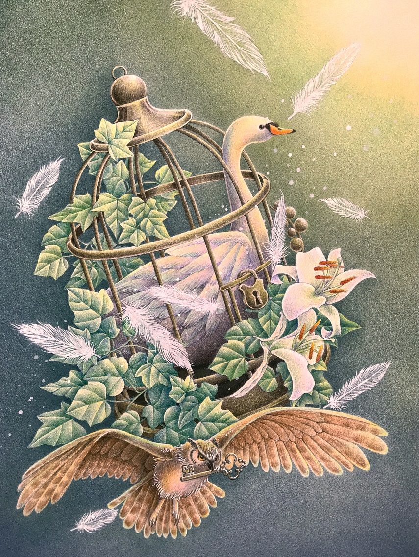 Faber Castell Colour Pencil 赤缶 油性色鉛筆 塗り絵と色鉛筆