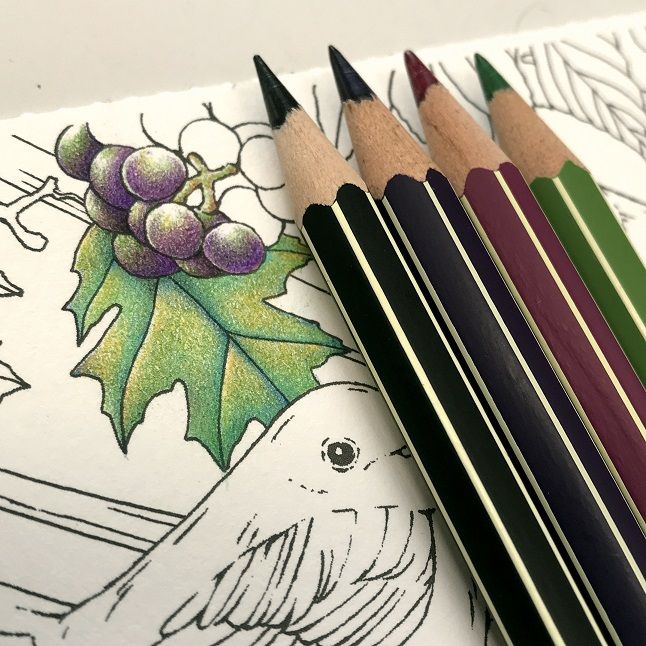 秋のフクロウ①（心ときめく四季のワルツ） | 塗り絵と色鉛筆♪