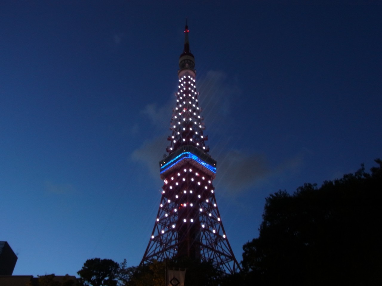 7 11 東京タワーとチンダル現象 Muy自然日記 7 11 東京タワーとチンダル現象 Muy自然日記