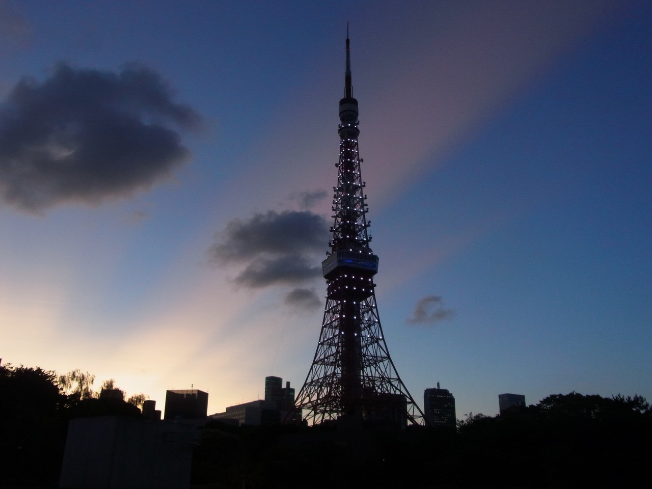 7 11 東京タワーとチンダル現象 Muy自然日記 7 11 東京タワーとチンダル現象 Muy自然日記